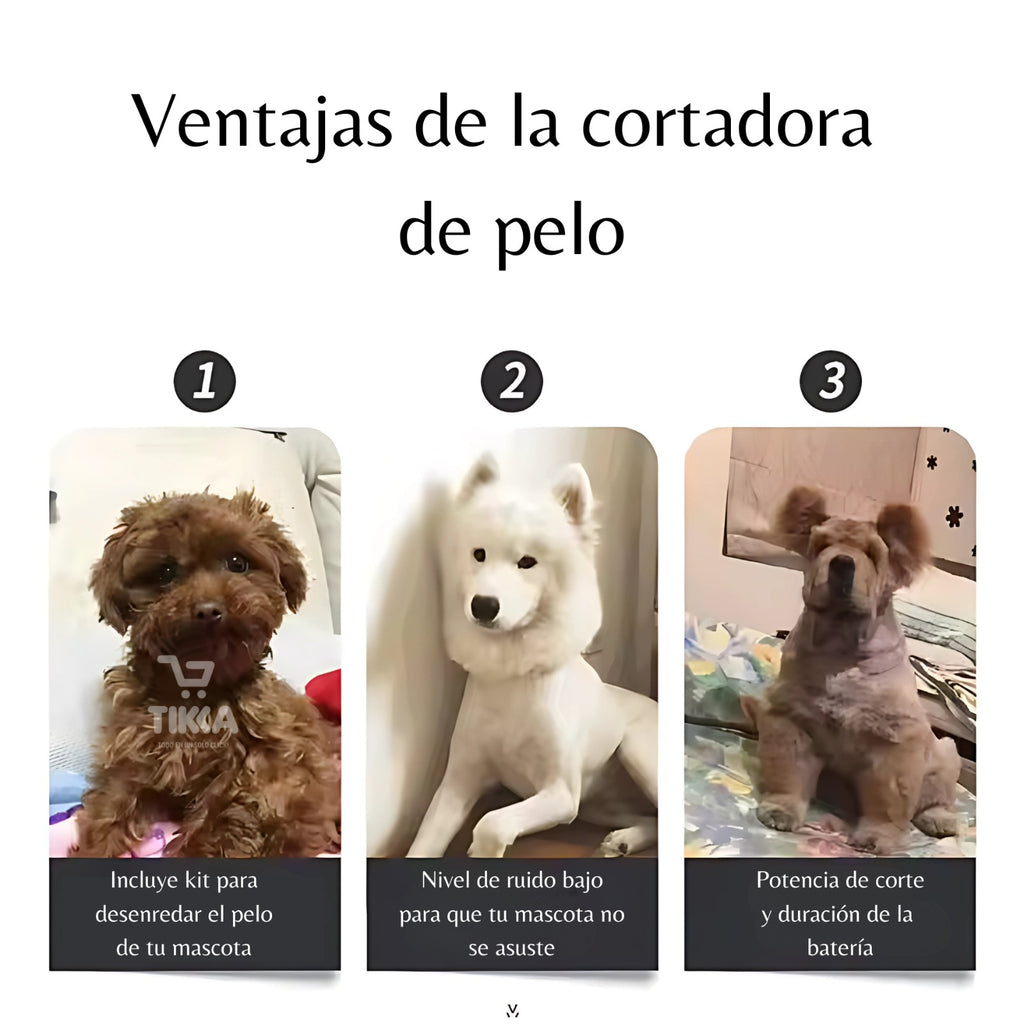 maquina para perro